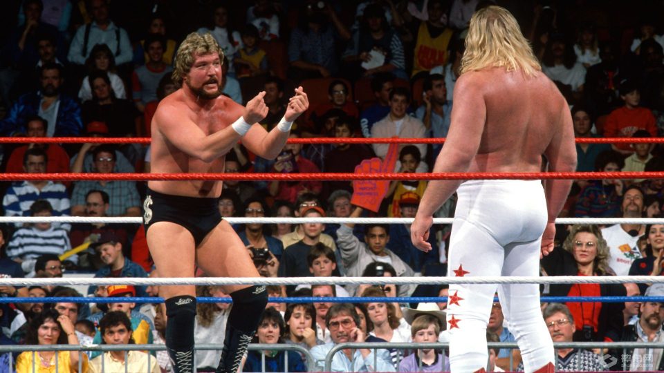 Ted DiBiase 1989 Royal Rumble