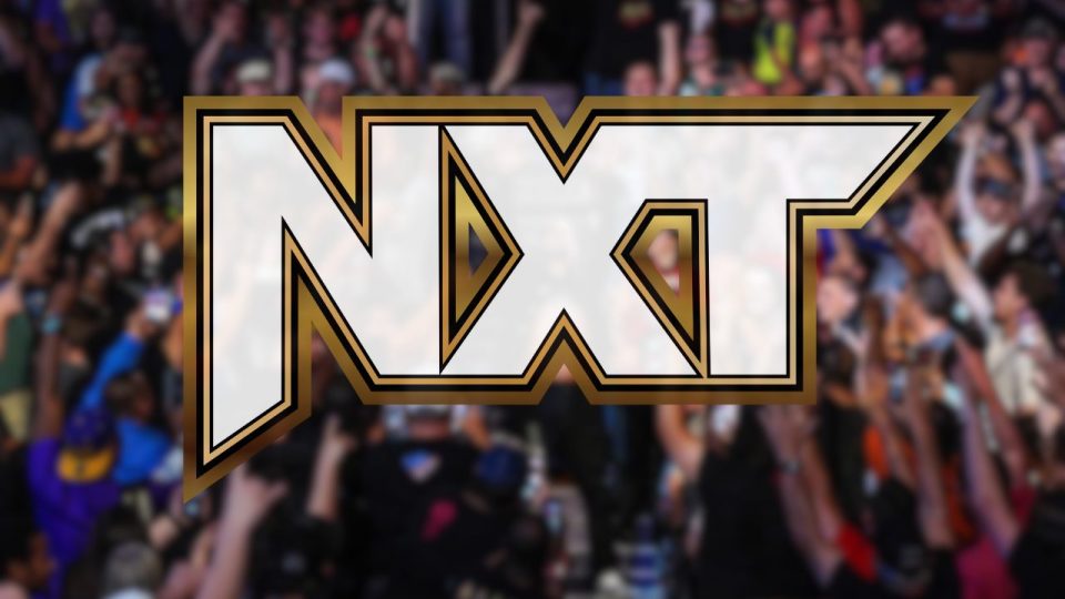 WWE NXT Stars Announce Engagement