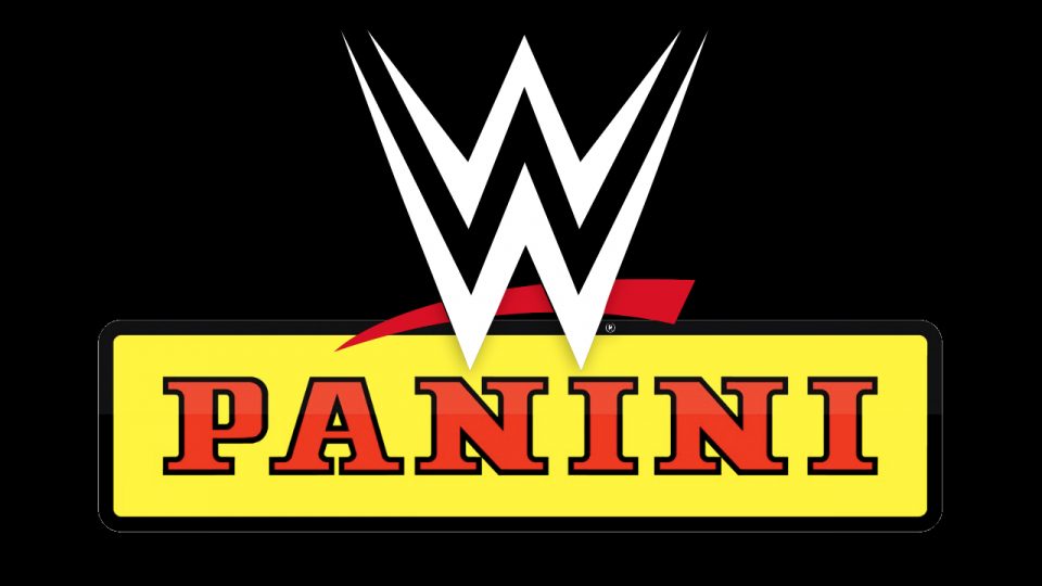 WWE Panini
