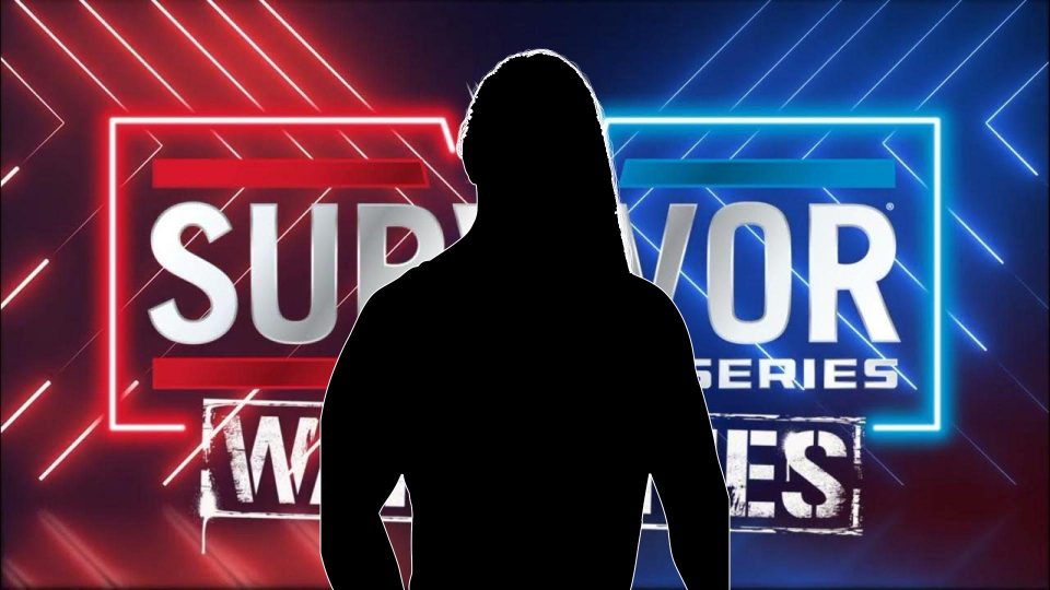 WWE Survivor Series Silhouette